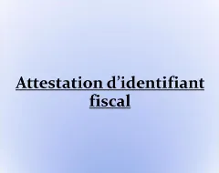 Comment obtenir son identifiant fiscal Maroc ?