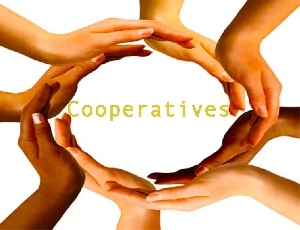 Comment créer une coopérative au Maroc?